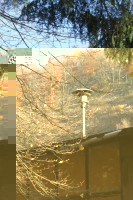 IMG_0248.jpeg