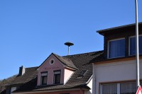 DSC_0046.JPG (241.91 KiB) 19240 mal betrachtet Nochmals die zweite Sirene in Rech von etwas näher dran.