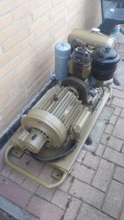 IMG-20220813-WA0006.jpg