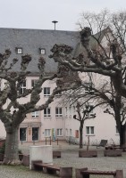 20240210_145215.jpg (389.61 KiB) 2444 mal betrachtet Rathaus