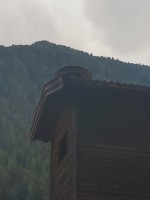 IMG_20240808_111915.jpg