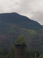 IMG_20240808_112737.jpg