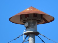 IMG_0977.JPG