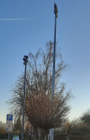 20250202_161225.jpg (255.13 KiB) 3073 mal betrachtet Am Wingert - Lindenholzhausen