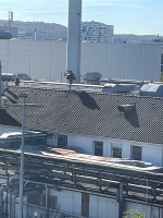 IMG_6846.jpeg