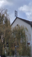 20251126_140756.jpg (457.56 KiB) 1074 mal betrachtet Am Tambourwäldchen 2