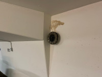 IMG_2863.jpeg