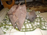 CIMG0354.JPG