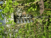 LJ6.JPG