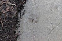 der Beton hält ;-)
