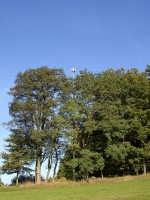 HLS Bad Brückenau