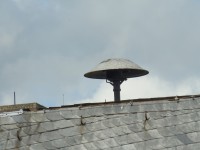 IGWasiP5120166.JPG (1.07 MiB) 6845 mal betrachtet 2. Auf Dach bei Bild 1. wäre die Dame auch nie allein. Die nähste Schwester ist in Sichtweite.