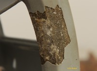 DSC_2511.jpg