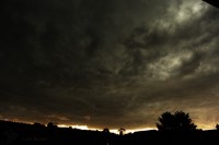 DSC_3941.jpg