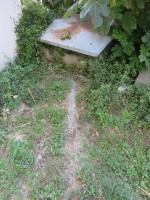 comp_IMG_4834.jpg