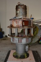 DSC_8381.JPG