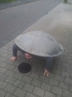 Die Sirenen-Schildkröte^^