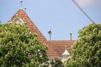 HLS Wien Hietzing 3.jpg (116.54 KiB) 5143 mal betrachtet Hier kommen wir der Sache schon näher...