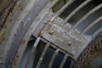 IMG_7155.jpg