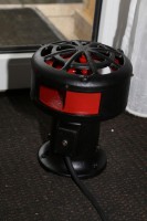 IMG_7533.jpg