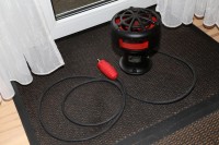 IMG_7537.jpg