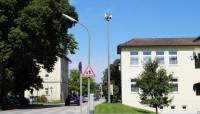 grafing2.JPG