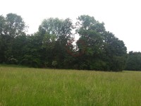 20180523_152555(0).jpg